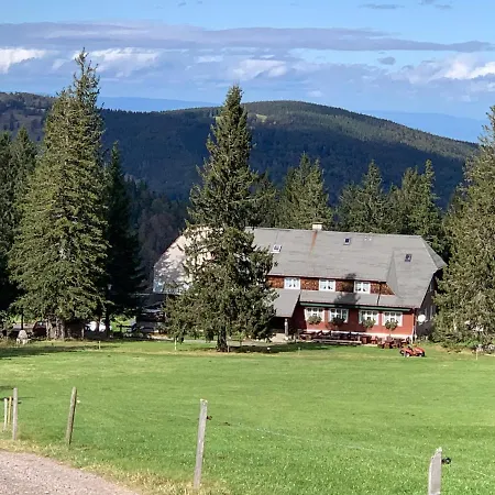 Residenz Schauinsland Todtnauberg - Fewo 17 - Sauna - Spielzimmer Fuer Kinder - Naehe Feldberg Exterior photo