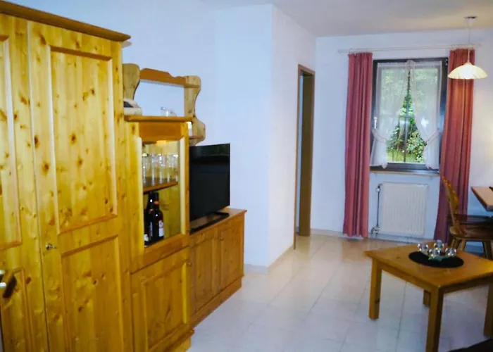Residenz Schauinsland Todtnauberg - Fewo 17 - Sauna - Spielzimmer Fuer Kinder - Naehe Feldberg