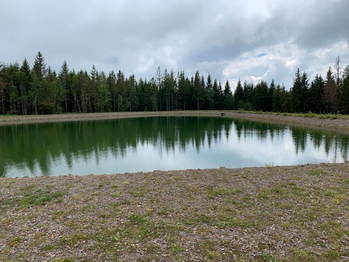 Residenz Schauinsland - 17 - Sauna - Spielzimmer Fuer - Naehe Feldberg