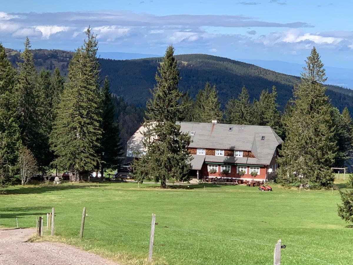 Residenz Schauinsland - 17 - Sauna - Spielzimmer Fuer - Naehe Feldberg Appartement *