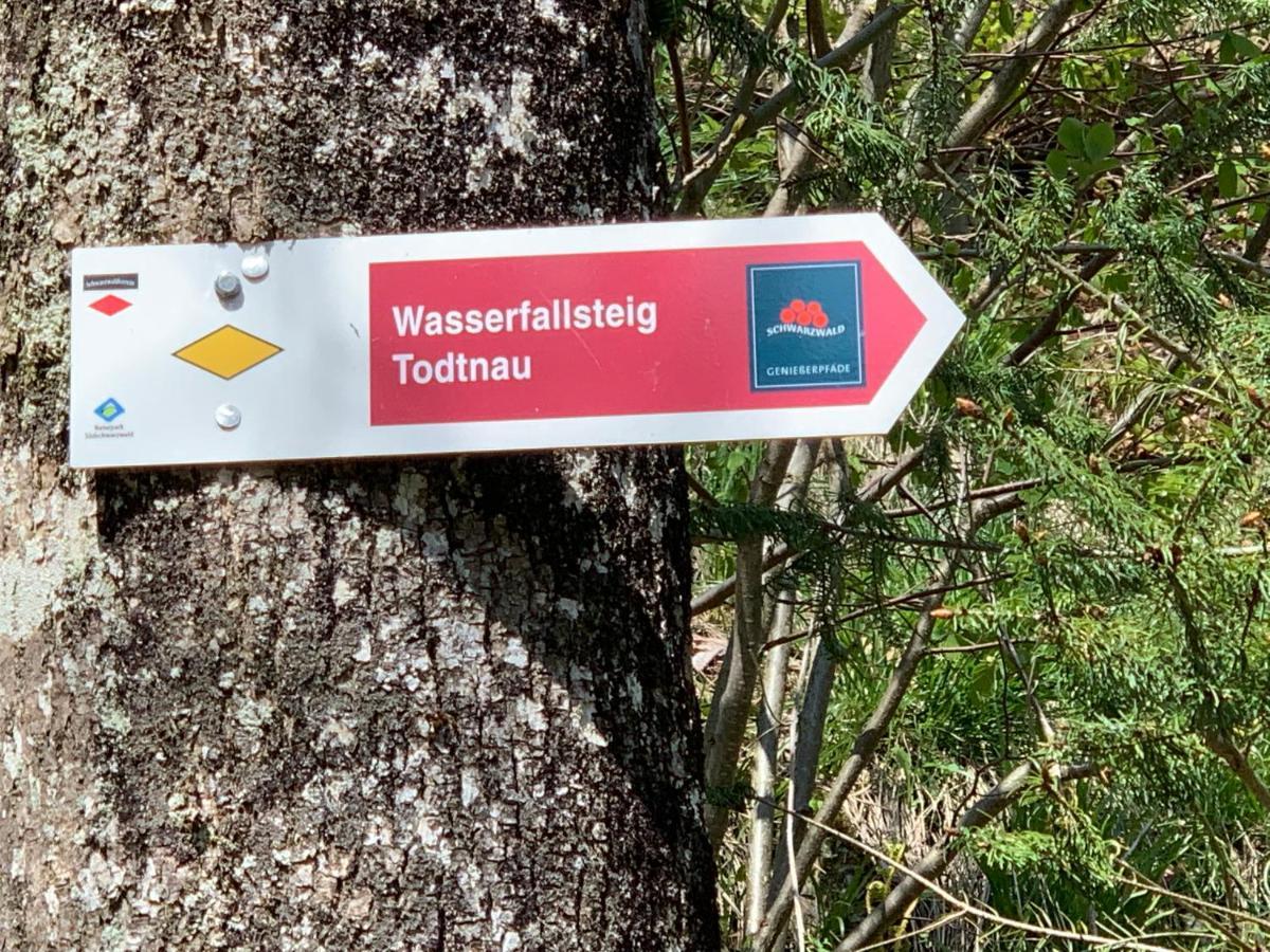 Residenz Schauinsland - 17 - Sauna - Spielzimmer Fuer - Naehe Feldberg Appartement *